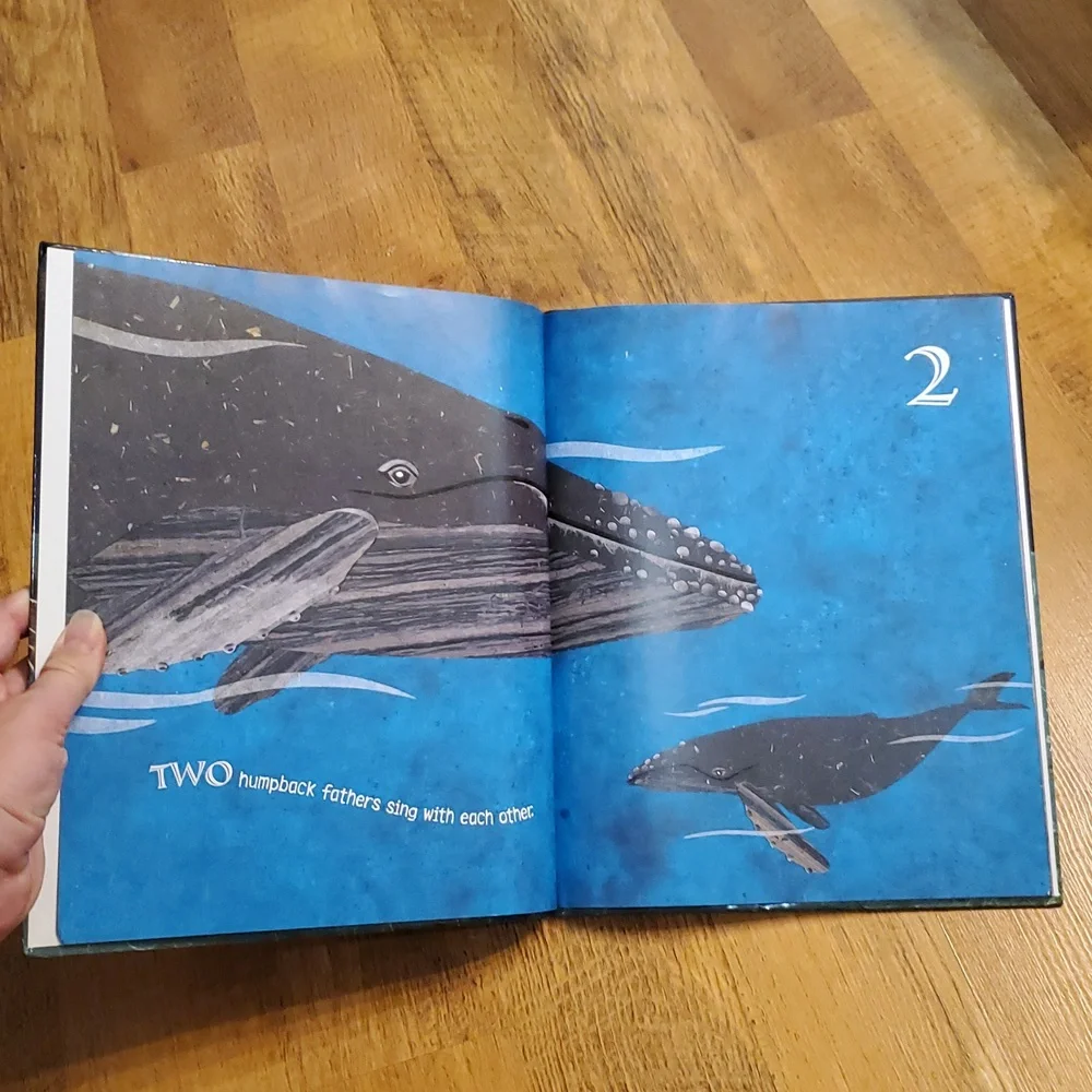 One Nighttime Sea Book‎ by Deborah Lee Rose Hardcover Counting Book